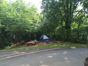Our site. Loop B, site 56