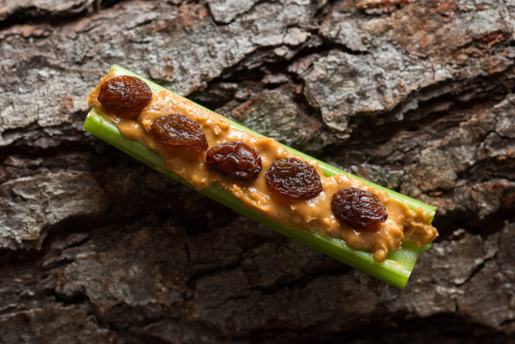 Ants on a log