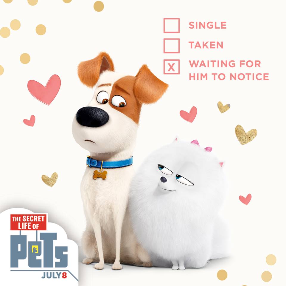 The Secret Life of Pets Valentine's Day Cards - As They Grow Up