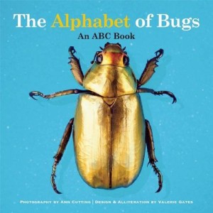 The Alphabet of Bugs