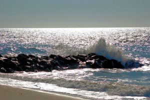 DSC_0336