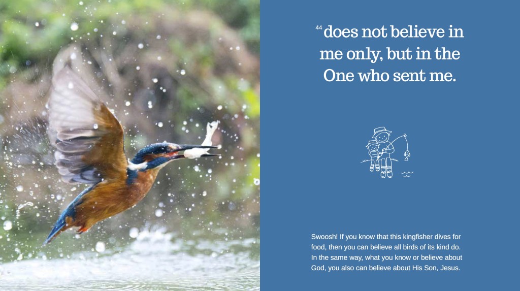 kingfisher