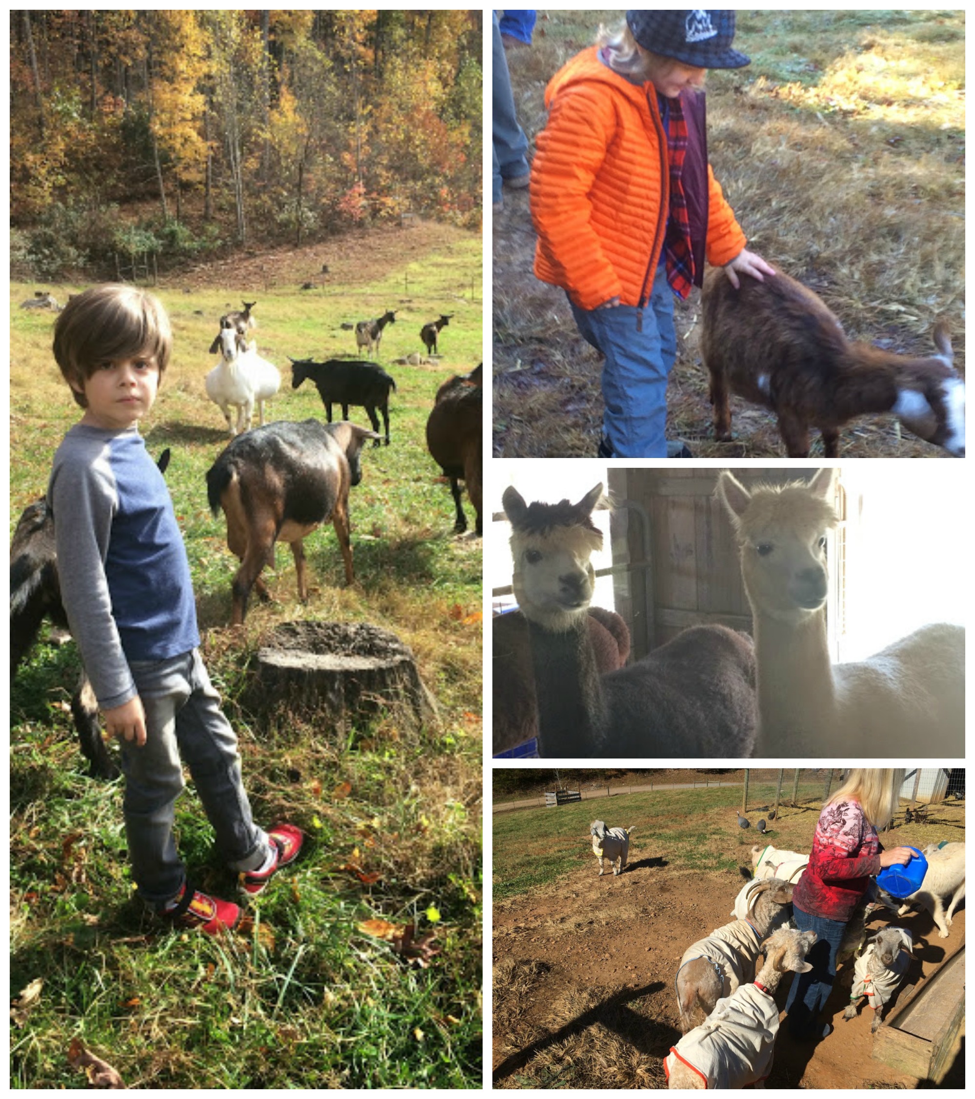 farm