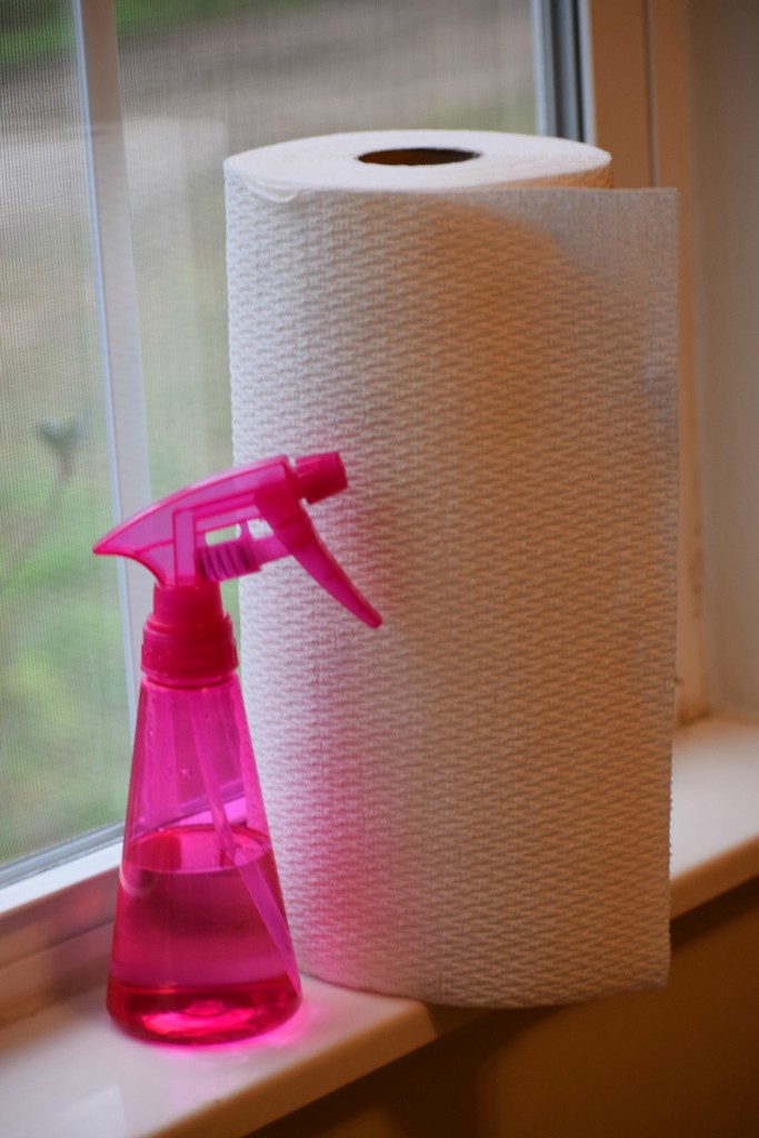 cleaning