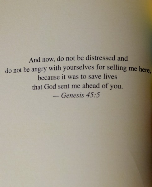 adventure bible2