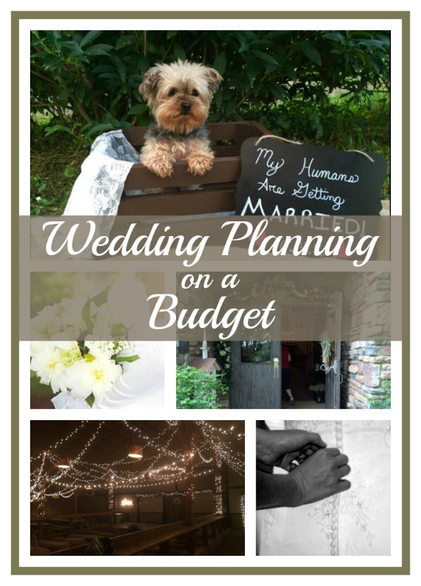 Wedding Planning On A Budget