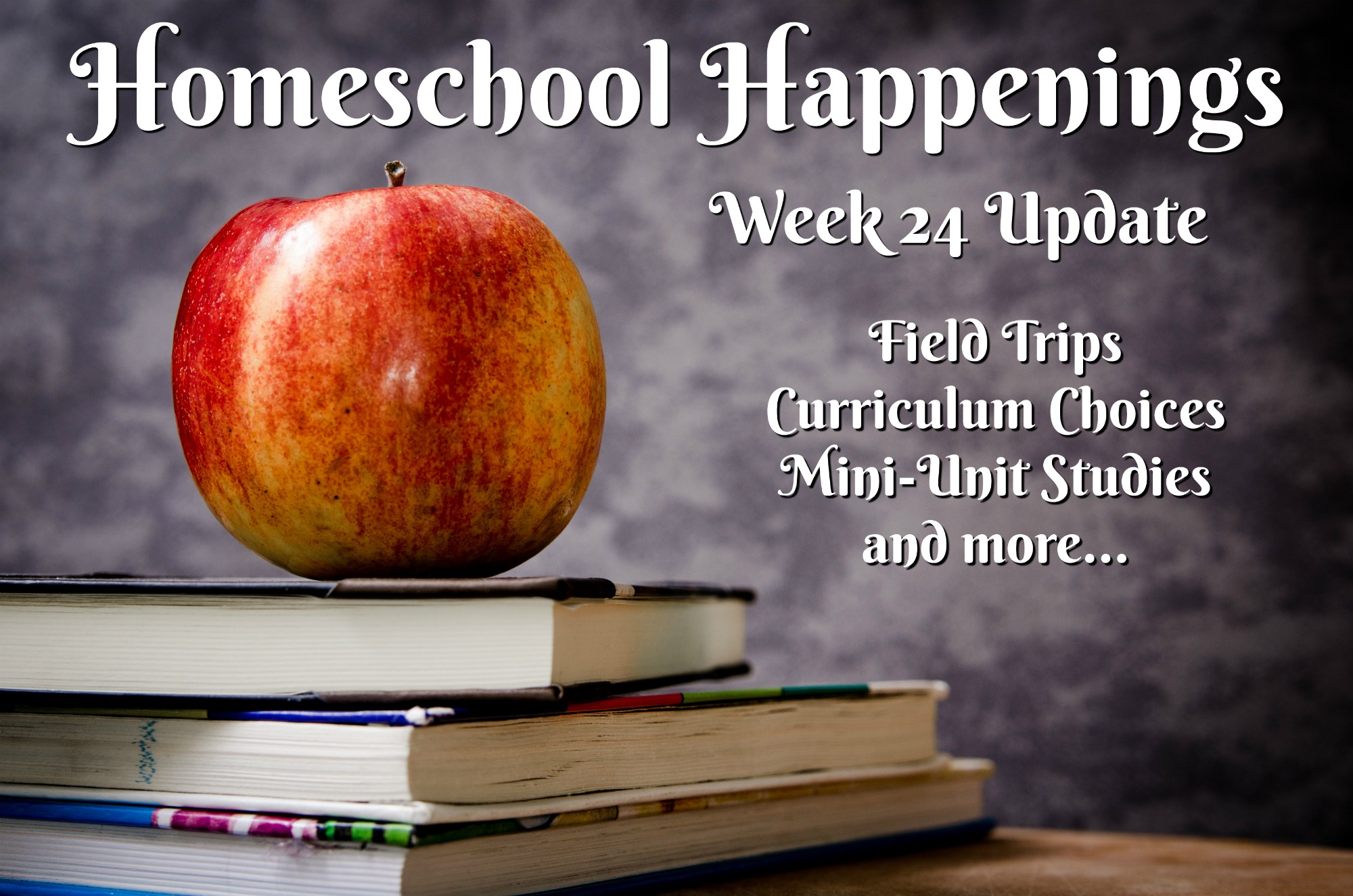 Homeschool Update Week 24 Homeschool Update Week 24