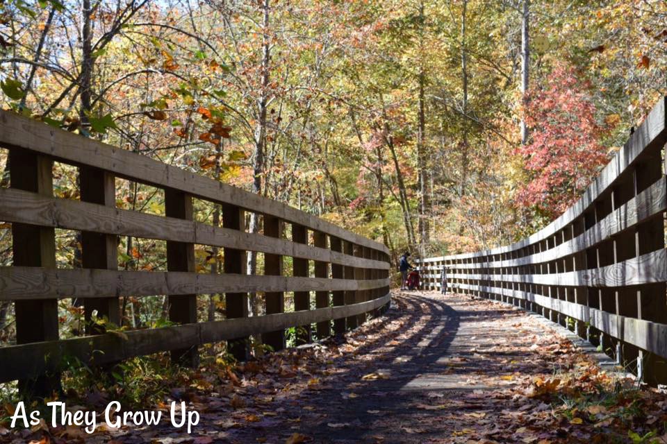Virginia Creeper Trail