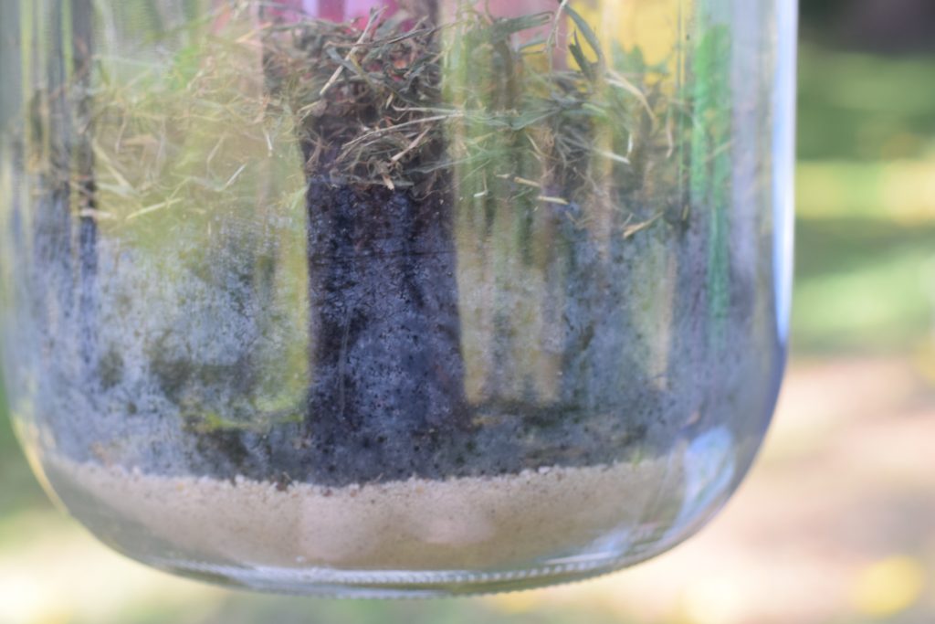 Observation Jar