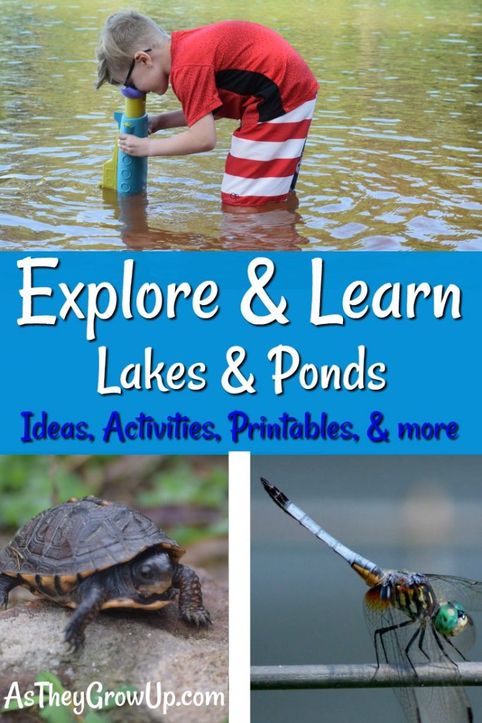 Explore and Learn Lakes and Ponds
