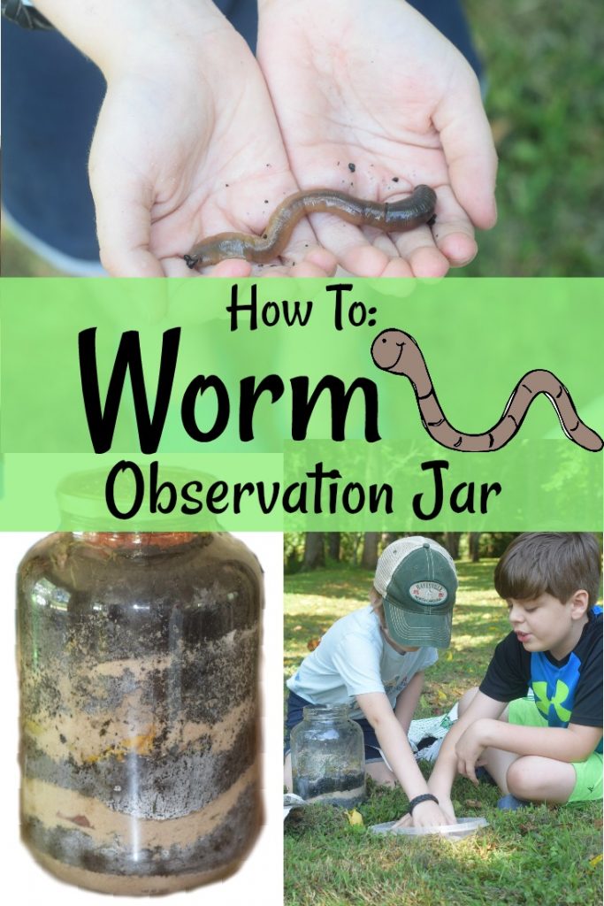 Observing Worms