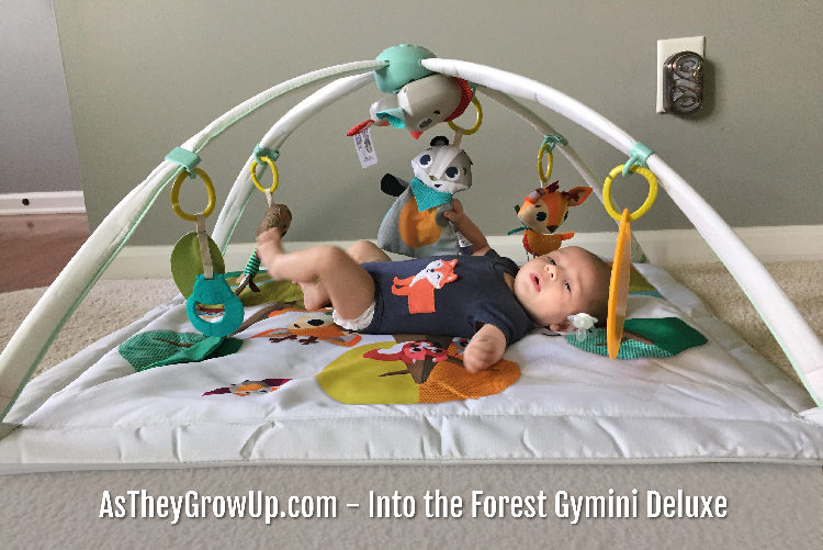 Gymini Deluxe Playmat