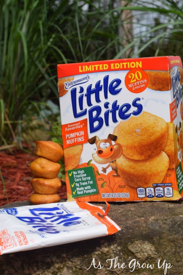 Entenmanns Little Bites Pumpkin Muffins