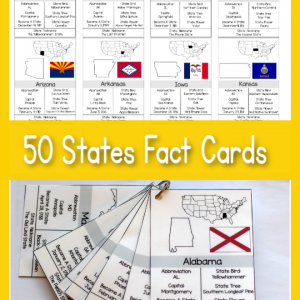 50 States Facts Cards